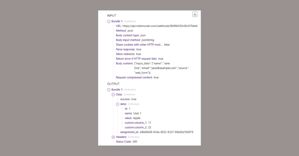 Make scenario execution output showing INPUT with Robin Router webhook URL and POST method, and OUTPUT with success true, assigned member data including id, name, value, custom columns, and assignment_id